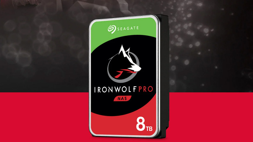 Seagate IRONWOLF PRO internal hard disk - ST8000NE001 - 8 TB-1