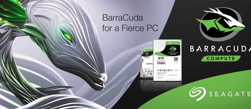 Seagate internal hard disk BARRACUDA ST6000DM003 - 6 TB-1